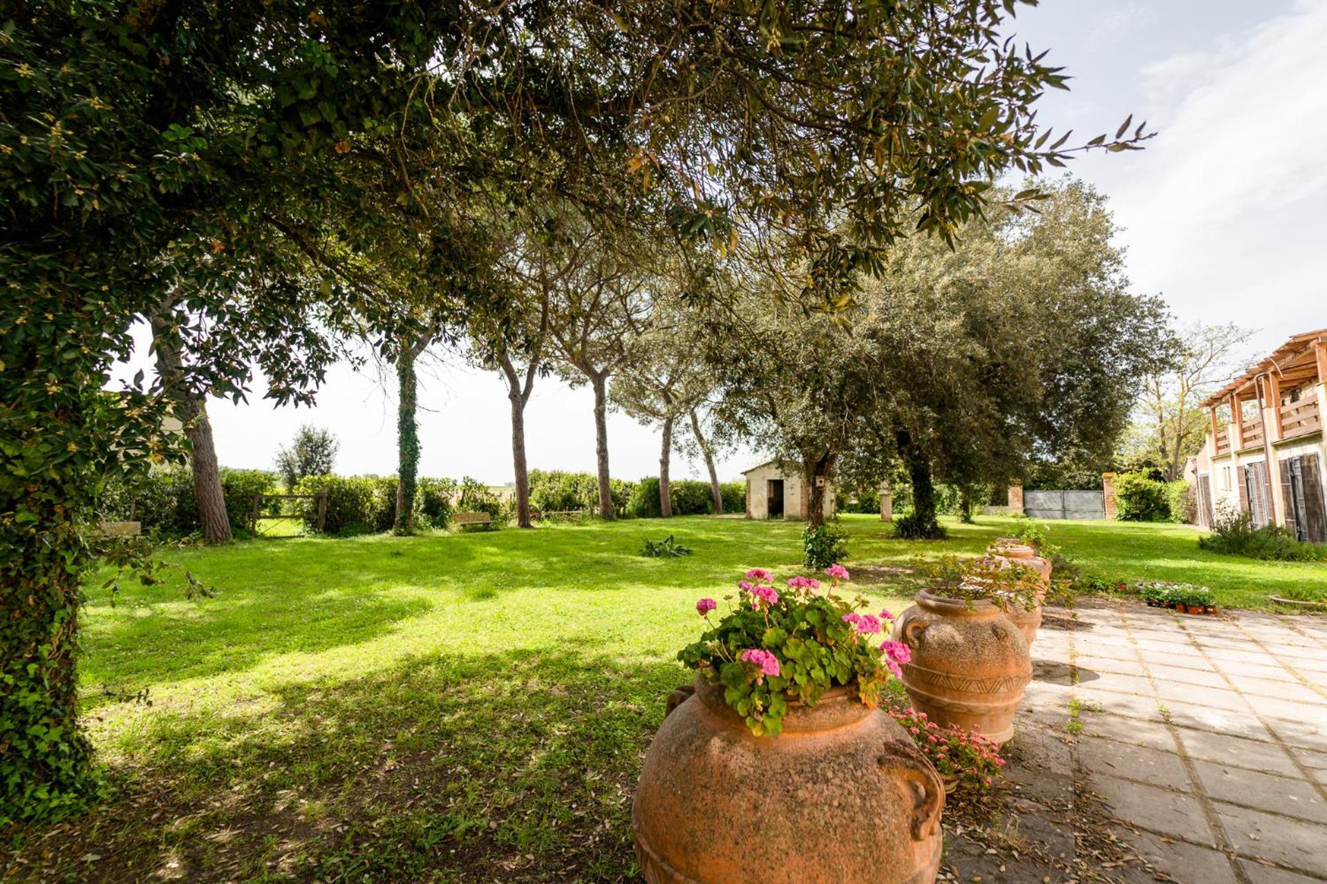 Agriturismo Bio San Mamiliano Гроссето Екстер'єр фото